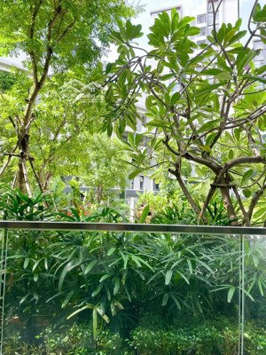 cho thuê căn hộ 2pn 2wc khu diamond centery - celadon city giá chỉ 16 tr. tháng