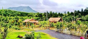 1900m2 đất hoà ninh. vị trí gần trường chợ. khu thương mại tự do