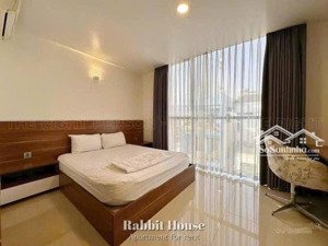 cho thuê căn hộ 1pn quận 1 đường trần hưng đạo full nội thất cửa sổ thoáng mát
