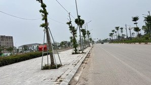 cần bán lô đất nền mặt đường trường chinh gần aeon bắc giang diện tích 105m2 mặt tiền 7m, sẵn sổ