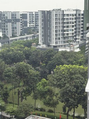 cho thuê nhanh 3 phòng ngủ 2 ức khu emerald celadon city giá tốt ở liền