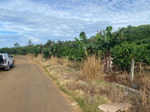 cho thuê 2.800m² đất mặt tiền đường nhựa view siêu đẹp tại tổ 42, phường 2, bảo lộc