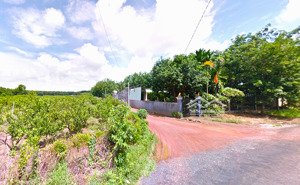 bán lô góc 2 mt (15x34 = 468,3m2) nở hậu. ngay trung tâm tp.đồng xoài, gần kcn,dân cư đông 390tr