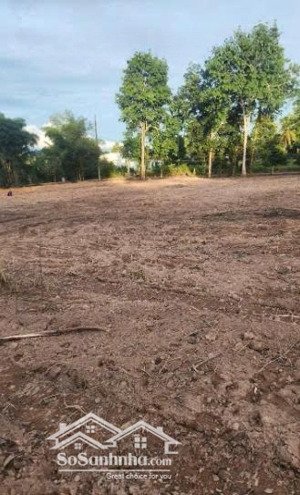 chính chủ bán gấp lô đất mặt tiền 1000m đường cây thông ngoài,cửa dương vị trí đắc địa sinh lời cao