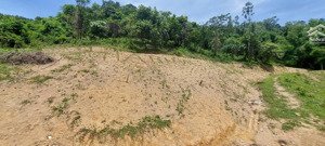 1.siêu phẩm đất nghỉ dưỡng tại hòa sơn, lương sơn, hòa bình cơ hội đầu tư không thể bỏ lỡ!