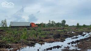 Bán 46.000m2 đất rừng sản xuất quy hoạch lên SKC xã Mỹ Thạnh Đông , Đức Huệ giá 17 tỷ