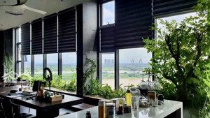 penthouse cao cấp view triệu đô chủ nhà thành đạt gu thẩm mỹ tinh tế