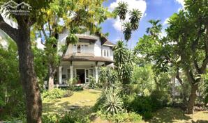 BDS HVL [NC] VILLA THẢO ĐIỀN 1 GIÁ 299 tỷ HỔ TRỢ ĐẠP GIÁ