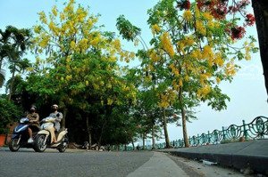 bán biệt thự tô ngọc vân 285m2, giá: 85 tỷ. tây hồ