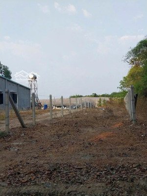 bán đất mặt tiền đường nguyễn thị rành củ chi diện tích 104 m2 giá 1.8 tỷ thương lượng