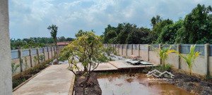 bán nhà vườn mặt tiền đường 174 hà duy phiên bình mỹ diện tích 22x45m, cn 1000m2 giá 4.5 tỷ