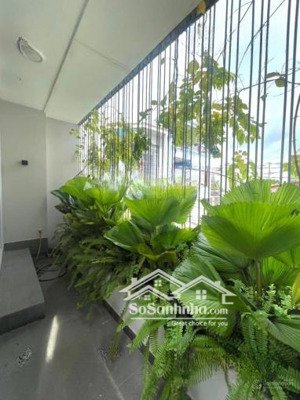 thật 100% thu 250 triệu/tháng 46 phòng 10mx17m. 160m² hẻm 10m gần bùi thị xuân- nguyễn trãi quận 1