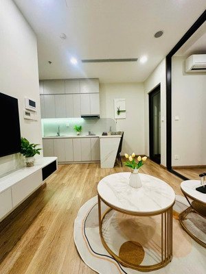 chính chủ 1 ngủ onsen, khu căn hộ cao cấp nhất ecopark, view làng hoa phụng công, giá chỉ 3,x tỷ