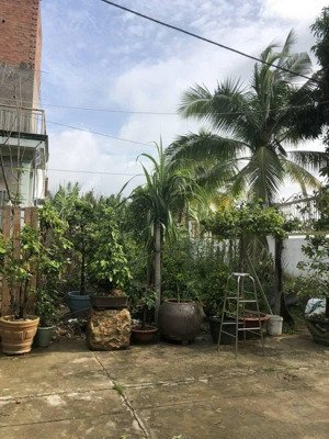 bán đất tại đường tam đa, 6,2 tỷ, 330m2, đẹp, nhiều tiện ích