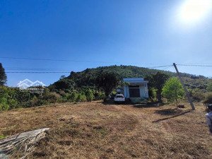 bán 12250m2 vuông đất xã lang ngà, định quán, dt 49x250, hướng bắc, giá 7.5 tỷ