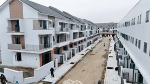 bán căn góc 136m. giá chỉ 8 tỷ. hướng nam dự án the greenery hp. ngay cầu nt đón sóng cđt nam long