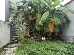 bán lô đất đẹp tại tổ dân phố hầu lâm động, phường thiên hương