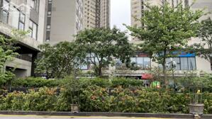 Cần bán Kiot tầng 1 45m toànThe Kpark, Văn Phú, Hà Đông, HN.