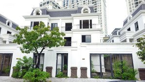 giá đầu tư, rẻ nhất thị trường biệt thự roman tố hữu- hải phát- vip nhất dự án, xây 4 tầng- mt: 11m