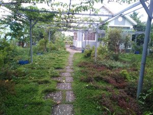 chính chủ bán nhà vườn cảnh quan đẹp