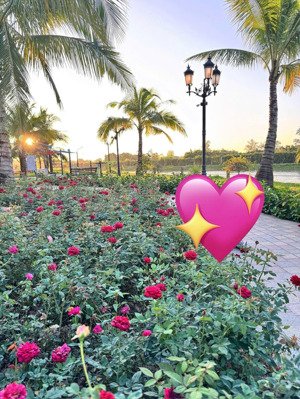 nhượng lại hợp đồng thuê nhà khu đóng vinhomes oceanpark 2