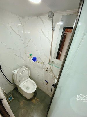 bán gấp chung cư mini 15pn, 15wc tại bạch mai, 45m2, giá 11,5 tỷ vnd