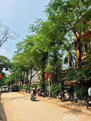 bán nhà phố đội cấn, dt 45m, 5 tầng (9.3 tỷ).