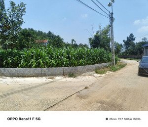 chính chủ bán gấp đất mặt tiền 16m, 169m2 tại đồng chằm, đông xuân, quốc oai, hà nội, nhỉnh 3 tỉ