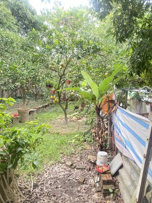 bán đất làng cổ đông ngạc 107m, 10.7 tỷ. sổ vuông nở hậu nhẹ, ô tô đỗ cửa. vị trí trung tâm làng.