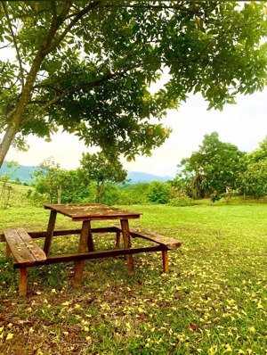 độc quyền chuyển nhượng farm nghỉ dưỡng tại thạch thành