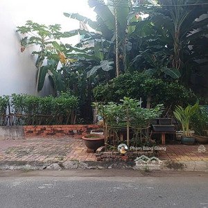 ccdvms.t4 | siêu phẩm đất mặt tiền bình quý kđt chí linh, p. rạch dừa, tp. vũng tàu