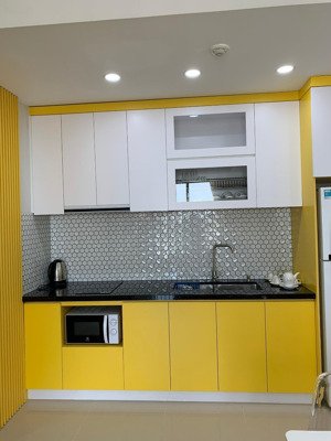 cho thuê căn hộ botanica premier , 2pn, 2wc ,full nội thất , giá : 17 triệu / tháng , 