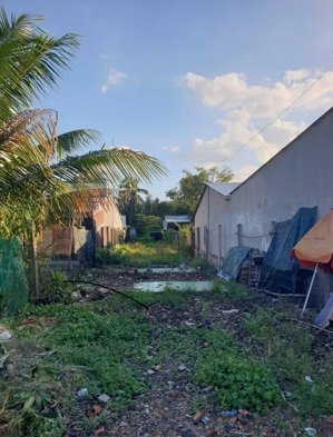 bán đất 150m2 thổ cư tại phường 5, vị thanh, hậu giang