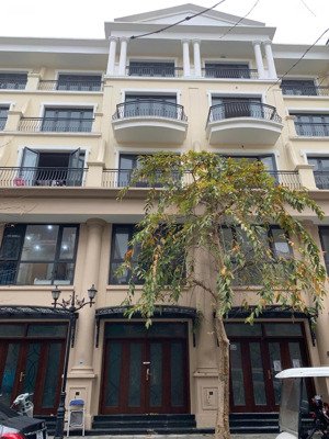 cả nhà định cư nước ngoài cần bán gấp biệt thự đảo dừa vinhomes ocean park 2 dòng tiền về túi ngay