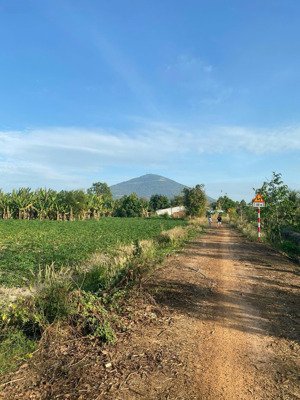 bán đất thổ cư 6693m2, tại xã tân bình cũ, phường bình minh mới, tỉnh tây ninh