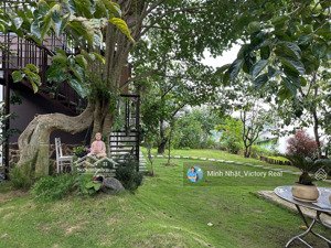 cần bán villa đẹp như truyện cổ tích, chỉ 12,8 tỷ p.03, đà lạt