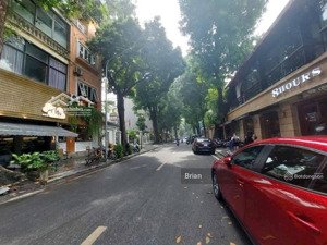 bán nhà chính chủ mặt phố p hàng buồm dt 73m2, mt 4.6m, kinh doanh sầm uất