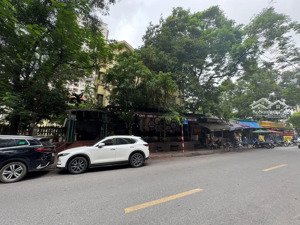 bán căn biệt thự sân vườn mặt phố nguyễn quốc trị cạnh big c thăng long 137m2 giá 85 tỷ