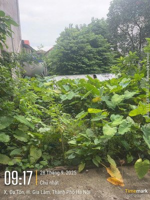 hiếm!cần bán gấp 65m2- đất thổ cư gia lâm, giá 5,8 tỷ - sẵn sổ đỏ