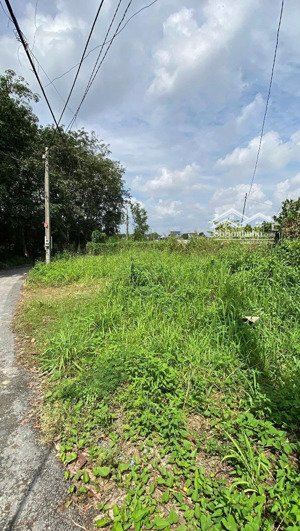 bán đất 100m2, 2,87 tỷ tại xã đồi 61, trảng bom, đồng nai