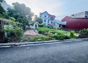 bán đất 114.5m2 tại vinh thanh, vĩnh ngọc, đông anh, hà nội, giá 16,998 tỷ