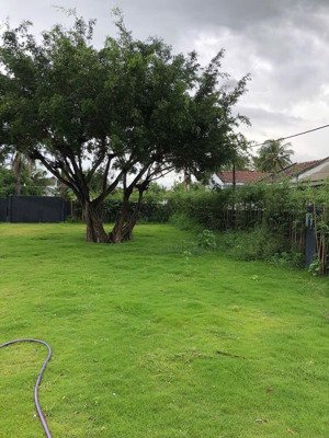 bán đất tại vạn giã, vạn ninh, khánh hòa, bắc vân phong, 1333m2, mặt tiền bán đường hơn 60m