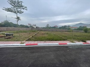 bán gấp đất 100m2 tại xã minh phú, sóc sơn, hà nội, 25 triệu vnd