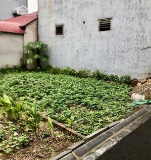 hàng hiếm đất nền việt hùng đông anh, ngõ thông ô tô, 50m2 mặt tiền quyền lực 5m, sang tên luôn