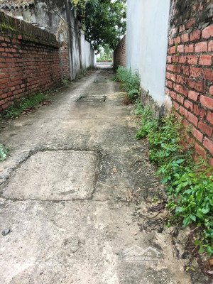 bán đất tại đường 35, thôn xuân long, xã tân dân, sóc sơn, hà nội, 1,85 tỷ, 80m2