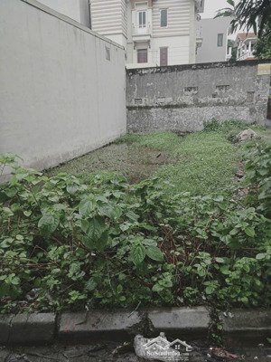 bán 58m2 đất ngõ thông - ô tô 7 chỗ vào, phúc lợi, long biên, 8.5 tỷ.