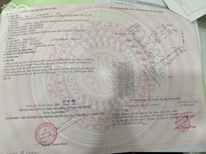 Chính chủ cần bán gấp lô đất và tài sản trên đất - Pháp lý hoàn chỉnh - Bình Trị Đông B, Bình Tân