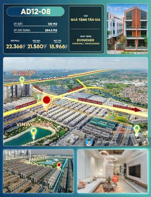 vị trí vàng trung tâm ánh dương