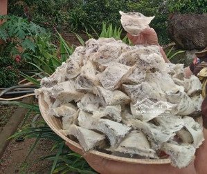 nhà vườn hl62 giá 5,3tr/m .có sẵn yến thu nhập vài trăm triệu mỗi năm...