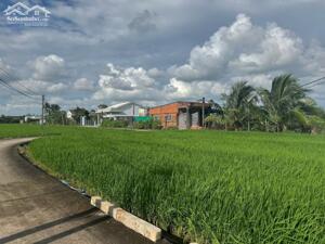 Bán lô thổ 5x17,28 mt đan 3m ra tl833b kế bên gần cụm KCN An Nhựt Tân Tại Xã Nhựt Tảo Tỉnh Tây Ninh